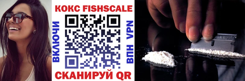 МЕГА ссылки  Южа  Cocaine FishScale 